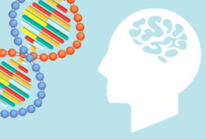 colorful DNA molecule with an icon of the brain