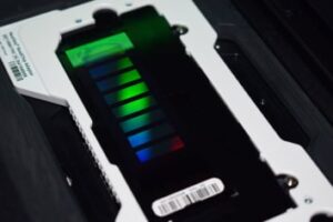 Brightly colored chip for EpiSign