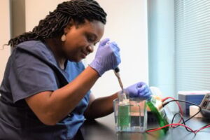 Research tech, Tonya Moss, loads Western blot gel
